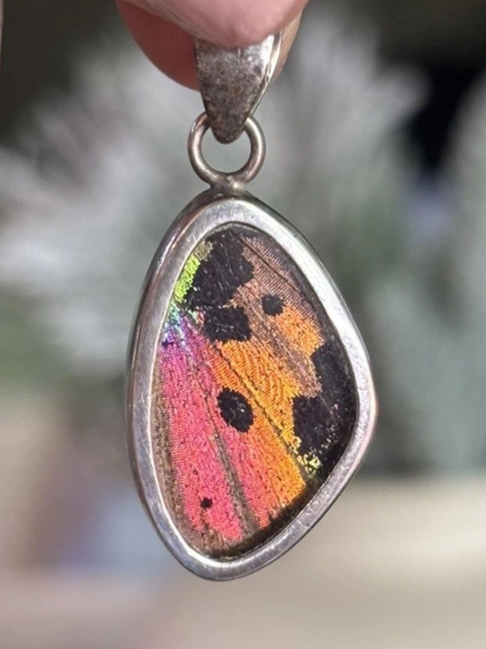 Beautiful Butterfly Wing Pendant in Sterling Silver 925 Signed Anka Sunset Moth